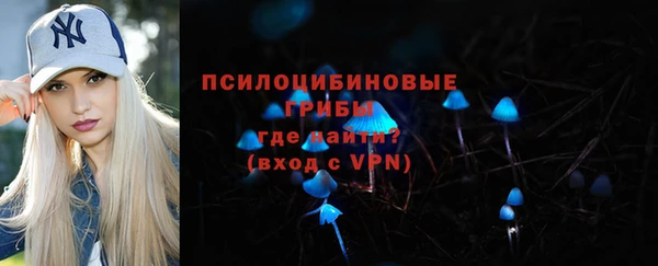apvp Армянск