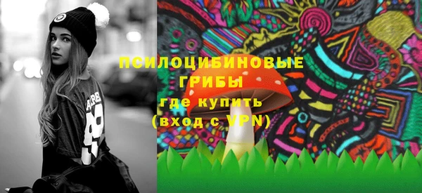 apvp Армянск