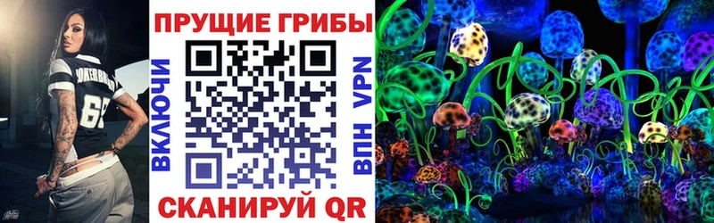 Псилоцибиновые грибы ЛСД дарк нет клад Оха